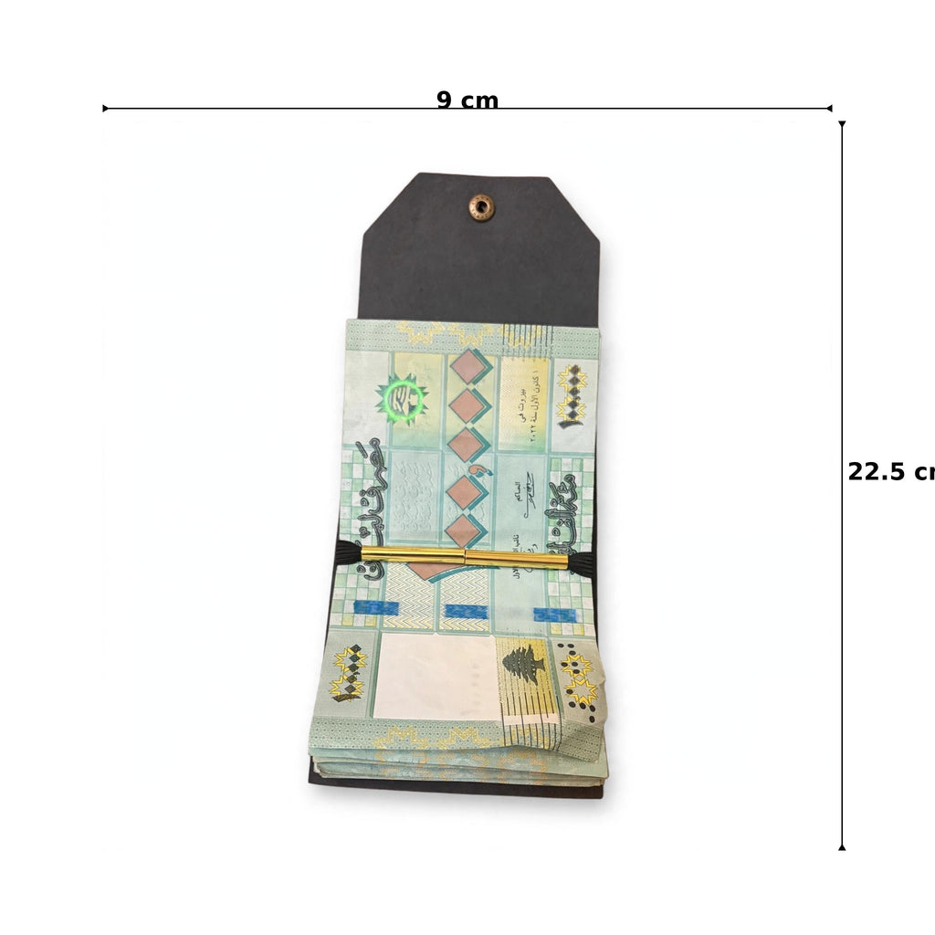 CARVO magnetic genuine leather money wrap - Jouloud